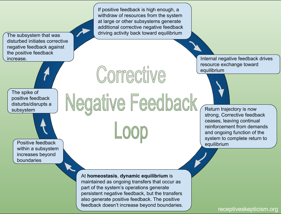 Corrective Negative Feedback Loop