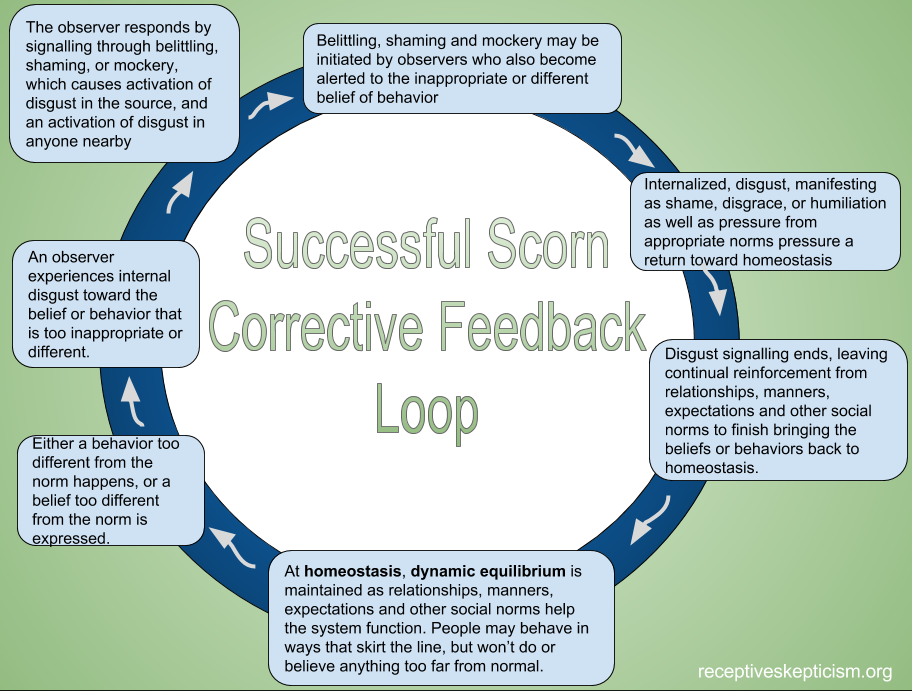 Successful Scorn Corrective Feedback Loop